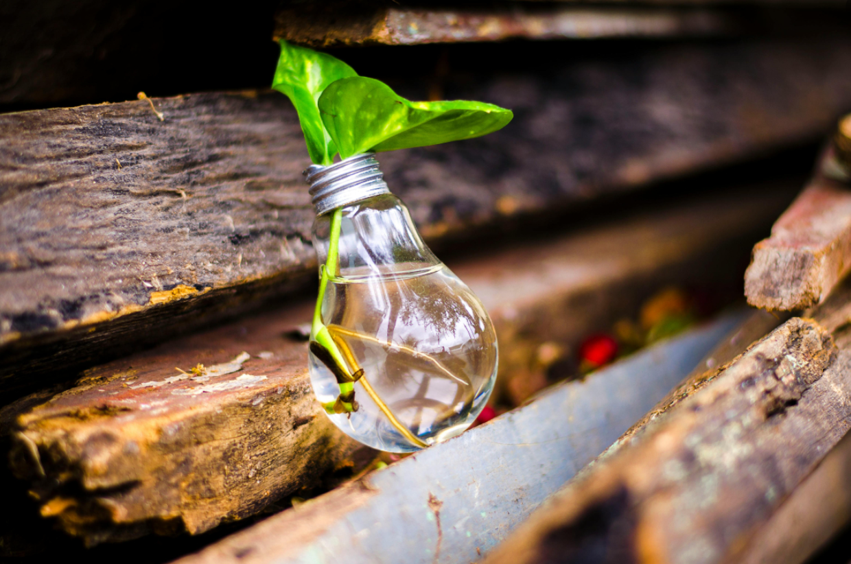 Minimal Viable Product – MVP