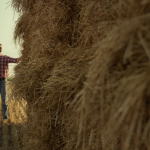 Search in a Haystack - Find a Great Startup Mentor