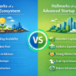 Nascent Startup Ecosystem... Time to Grow Up